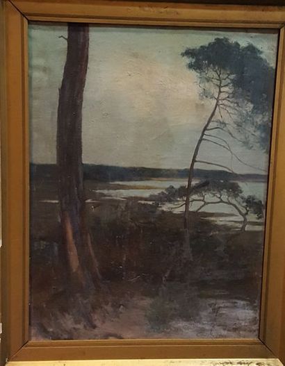 null DE BUZON Camille (1885-1964)

Paysage, 1913

Huile sur toile signée en bas à...