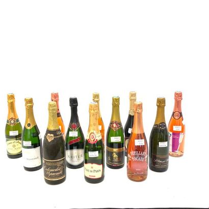 18 bouteilles VINS EFFERVESCENTS (Saumur,...