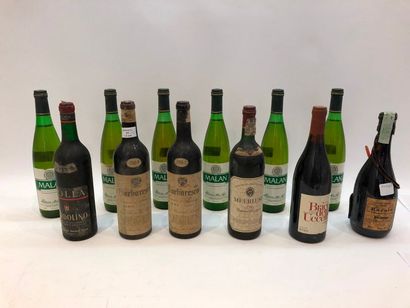 12 bouteilles VINS DIVERS (Italie, Afrique...