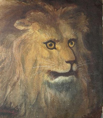 SURAND Gustave, 1860-1937 Tête de lion Aquarelle gouachée, signée en bas à gauche....