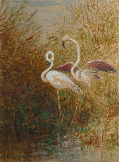 ZIEM Félix, 1821-1911 Flamands roses dans les roseaux Aquarelle gouachée, signée...