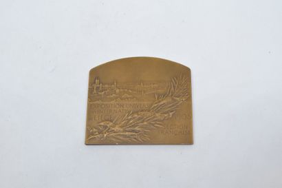null [ VERNON ]

Médaille en bronze à patine brune commémorant la section française...