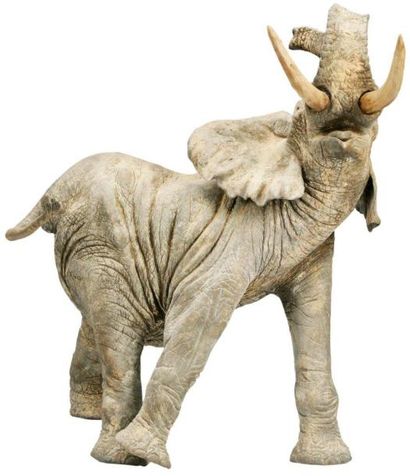 VANDENBERGHE, né en 1951 "Vous avez un message" (éléphant d'Afrique) Bronze à patine...