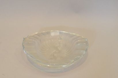 null LALIQUE France 
Coupelle en forme de coquille stylisée