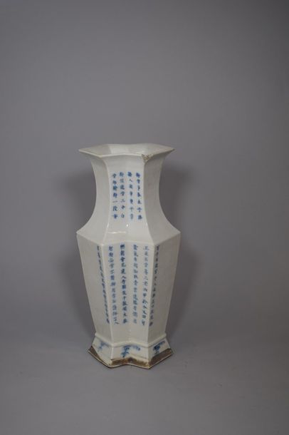 null Chine XIXe Vase en porcelaine à double corps à décor émaillé bleu sous couverte...