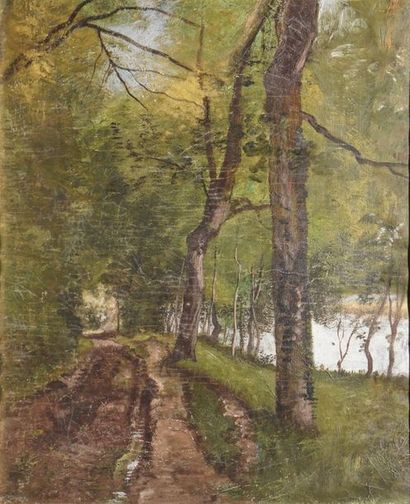 null RICHET Léon, 1847-1907

Chemin aux arbres

huile sur papier marouflé sur carton...