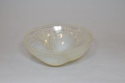 null René LALIQUE (1860-1945) 

Coupe « Coquille n°2 » (1924). Épreuve en verre blanc...