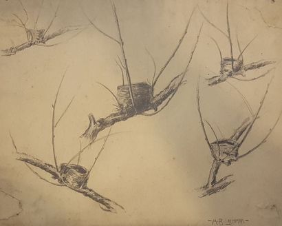 null B. LACHMAN Harry (1886-1974)
Voiliers - Lapins - nids
Trois études au crayon,...