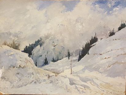 null BOKKELANDT Pierre (XXème siècle)

Paysage de montagne

Huile sur Isorel signé...