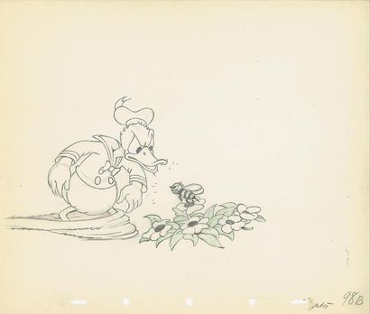 null MOOSE HUNTERS - Studio Disney 1937. Dessin d'animation de Donald. 25,5 x 30,5...