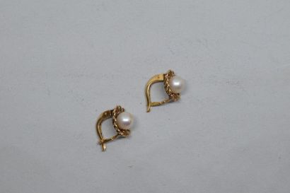 null Paire de boucles d'oreilles en or jaune 18k (750) ornées chacune d'une perle...