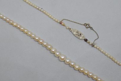 null Collier de perles de cultures en chute, le fermoir en or gris 18K(750)serti...