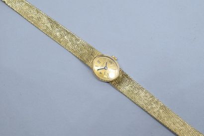 null Montre bracelet de dame, boîtier et bracelet en or jaune 18k (750), cadran ovale...