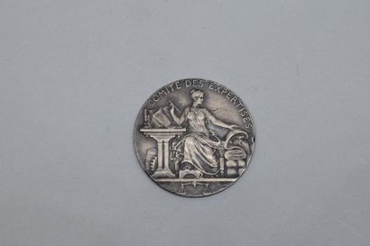 null Médaille XIXème en argent

Avers : allégorie. Inscriptions au-dessus : COMITE...