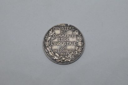 null Médaille XIXème en argent

Avers : allégorie. Inscriptions au-dessus : COMITE...