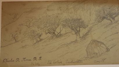 null ASTON Charles Reginald (1832-1908)

old hollies (?), 24 July

Crayon sur papier,...