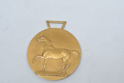 null [ ARTHUS BERTRAND ]

Médaille ronde en bronze doré représentant un cheval à...