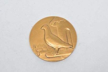 null [ ARTHUS BERTRAND ]

Médaille uniface en bronze doré représentant un pigeon....