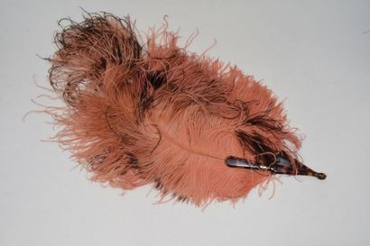 Eventail en plumes d'autruches femina teintées...