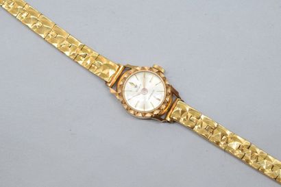 null Montre bracelet de dame, boîtier en or jaune 18k (750), cadran à fond doré et...