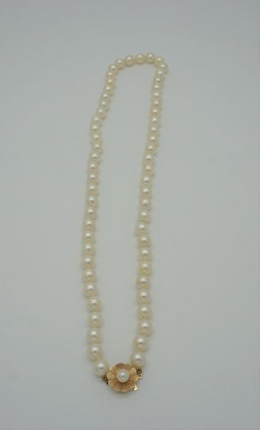null OR 14K ET PERLES
Collier en perles blanches avec attache en or jaune 14K
Poids...