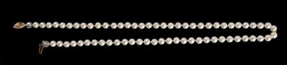null OR 14K ET PERLES DE CULTURE
Deux colliers de perle avec une attache en 14k.