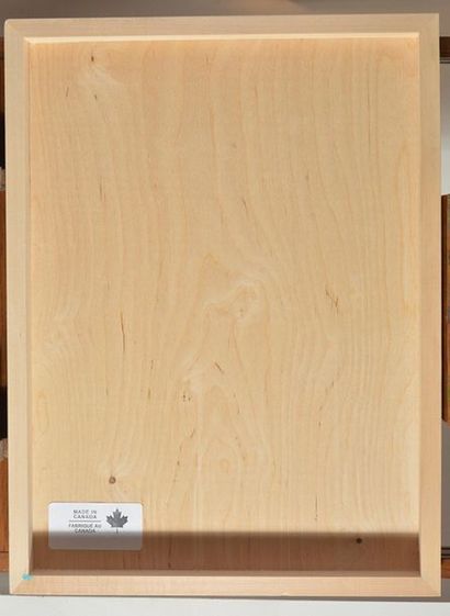 null LEVASSEUR, Alexandra (1982-)
Théorie des cordes II, 2015
Mix media on wood board
61x46cm...