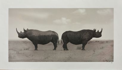 null LYALIN, Anton (1972-)
"Portrait of Africa #75"
Silver gelatin print on japan...