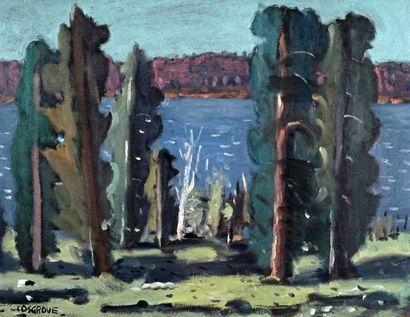 null COSGROVE, Stanley Morel (1911-2002)
"Lake Waygamac"
Huile sur panneau
Signée...