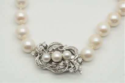 null OR BLANC 14K, DIAMANTS ET PERLES - XIXe s.
Collier de perles du XIXe siècle...