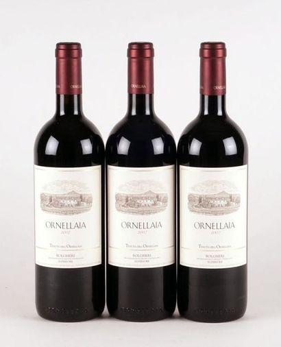 null Ornellaia 2007
Bolgheri Superiore D.O.C 
Niveau A 
3 bouteilles