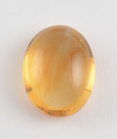 null OVAL CITRINE CABOCHON 9.95CT
Citrine cabochon, 9.95ct oval, approximately 15.95...