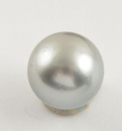 null PEARL TAHITI ROUND 11.2MM
Round gray Tahitian pearl, approximately 11.2mm in...