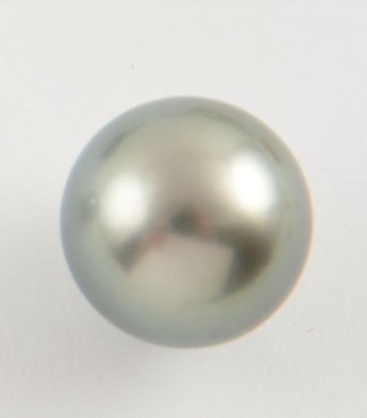 null PERLE TAHITI RONDE 13,5MM
Perle grise de tahiti ronde de 13,5mm de diamètre...