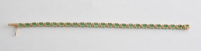 null EMERALD DIAMOND 14K GOLD TENNIS BRACELET
14K yellow gold bracelet, tennis style,...