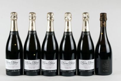 null Sélection de Vins de Champagne - 6 bouteilles