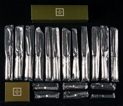 null CHRISTOFLE
Série de 12 couteaux en métal argenté de modèle Malmaison
Emballage...