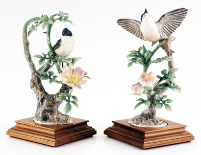 null DOUGHTY, Dorothy (1892-1962) - ROYAL WORCESTER
"Lesser White Throat Sylvia Curruca...