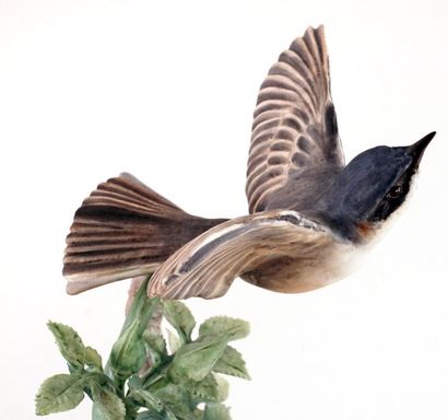 null DOUGHTY, Dorothy (1892-1962) - ROYAL WORCESTER
"Lesser White Throat Sylvia Curruca...