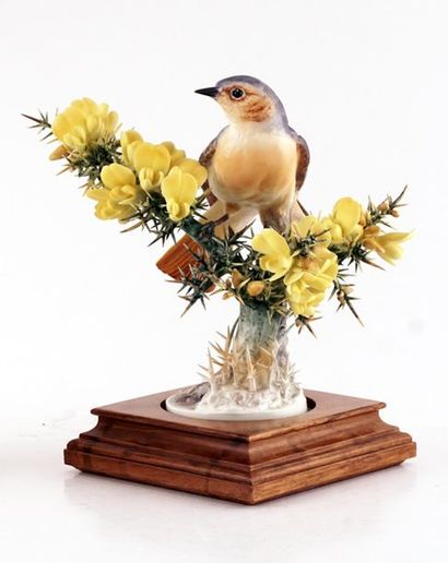 null DOUGHTY, Dorothy (1892-1962) - ROYAL WORCESTER
"Redstart Ruticilla Phoenicurus...