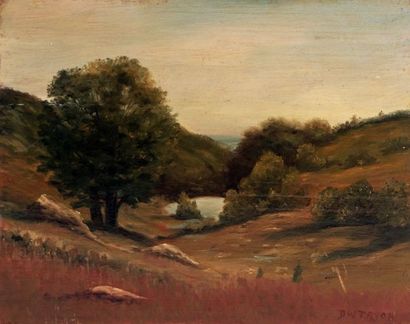 null TRYON, Dwight William (1849-1925)
Landscape
Oil on board
Signed on the lower...