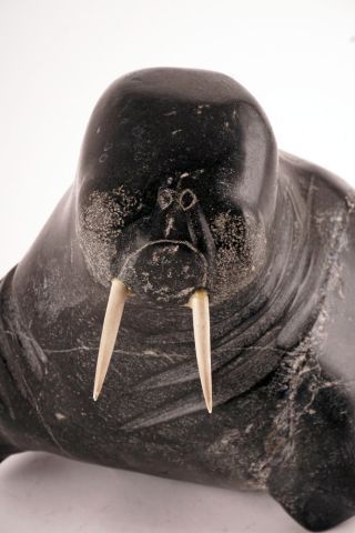 null INUIT SCHOOL 20TH C.
Walrus
Sculpted soapstone and bone

Provenance:
Private...