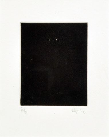 null SÉGUIN, Marc (1970-)
Owl
Etching
Signed and dated on the lower right: 
Séguin...