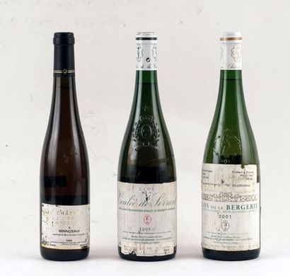 null Sélection de Vins de la Vallée de la Loire - 3 bouteilles (Château Bromont)