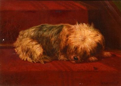 null RAPHAEL, William (1833-1914)
"The artist's dog Niny"
Huile sur toile
Signée...