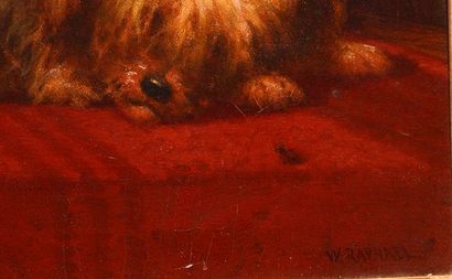 null RAPHAEL, William (1833-1914)
"The artist's dog Niny"
Oil on canvas
Signed on...