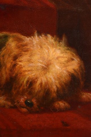 null RAPHAEL, William (1833-1914)
"The artist's dog Niny"
Huile sur toile
Signée...