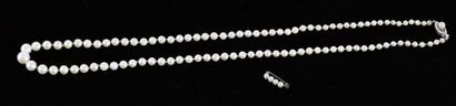 null PEARL NECKLACE
Saltwater cultured pearl necklace, with a thick mother-of-pearl...