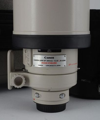 null CANON EF 300mm - 1:2.8
Téléobjectif Canon, monture EF 300mm 1:2.8 L IS USM avec...