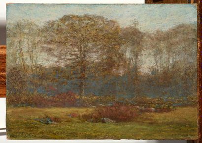 null TRYON, Dwight William (1849-1925)
Paysage
Pastel sur carton
Signé en bas à droite:...